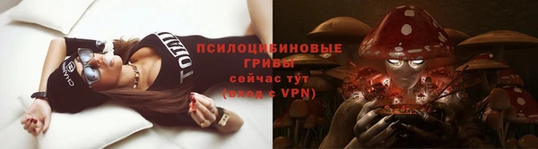 герыч Алексин