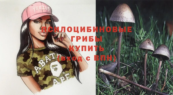герыч Алексин