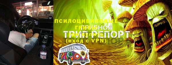 герыч Алексин