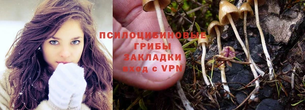 герыч Алексин