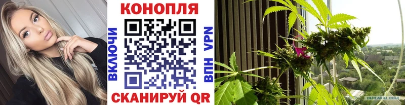 Бошки Шишки Ganja Трубчевск